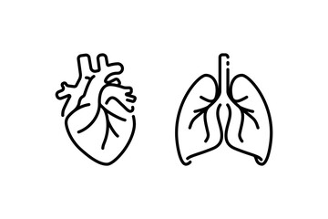 collection of Heart and Lung vector illustration icons design template using line style on white background. flat design of part of human body anatomy