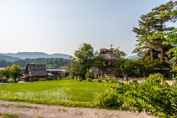 世界遺産　白川村（白川郷） 6月初夏の花と田園風景
