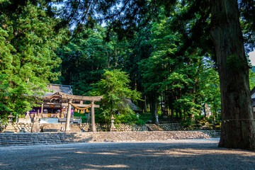 世界遺産　白川村（白川郷） 6月初夏の花と田園風景
