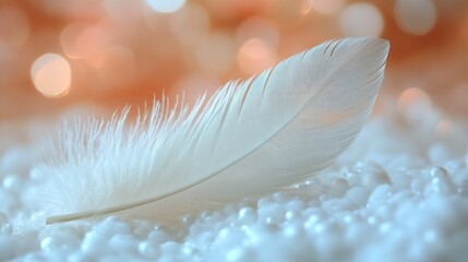 Naklejka premium Delicate white feather rests on soft beads