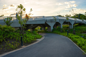 Walking pathway in green city public park office building sunset sky cloud