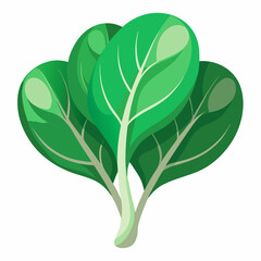 tender spinach with smooth curves 