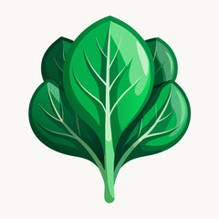 tender spinach with smooth curves 