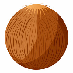 coconut on a white background