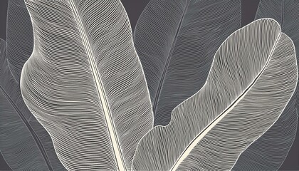 Line art banana palm leaf. Minimal continuous line banana leaf foliage drawing illustration. Tropical modern plant  design background. perfect any project.