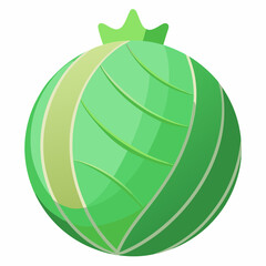 ribbed kohlrabi globe 