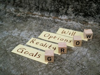 Wooden cube with GROW written on it, complete with Goals Reality Options Will, the organization's...