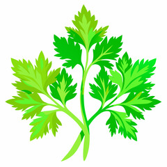 Naklejka premium parsley isolated