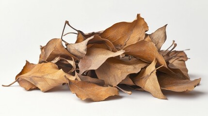 Pile of dried leaves on white background
