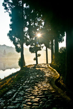 Sunburst in the misty morning. 