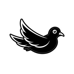 Obraz premium dove on white background