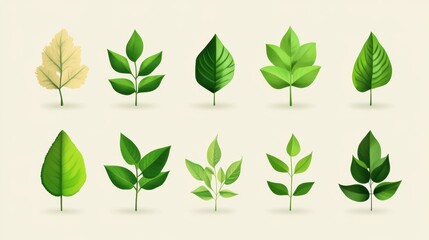 A Comprehensive Set of Green Leaf Icons for Every Design Need