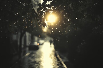 Dark night scene with a streetlight reflecting on wet pavement