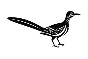  vector illustration of a roadrunner bird 