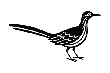  vector illustration of a roadrunner bird 