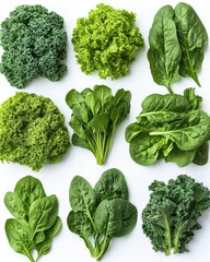 Fresh assortment of leafy greens including kale and spinach arranged artistically on a white background