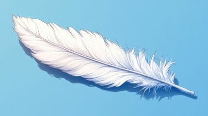 Obraz premium Single white feather, light blue background, delicate detail