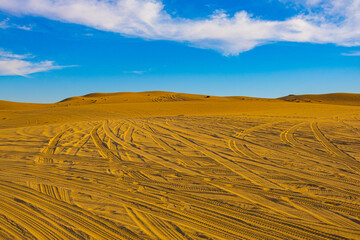 Naklejka premium Sand dunes in the desert