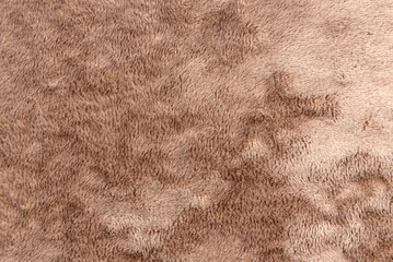 Texture of dense brown fabric for tailoring. Canvas. Textile. Material. Velour