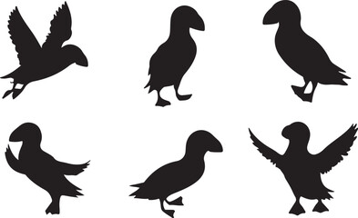 Obraz premium Puffin silhouettes