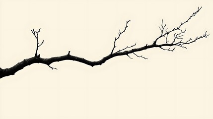 Bare branch, winter, nature, minimalist, design, background, isolated, graphic