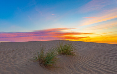 Sand dunes at sunrise near Abu Dhabi