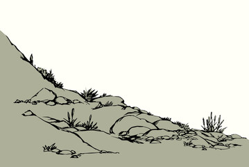 Vector drawing. Plantds grows on the stony hill