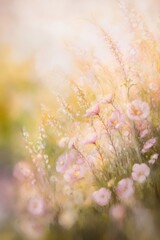 Beautiful colorful wild flowers in Spring.
