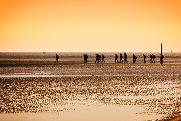 Group of people walking through the wadden sea at Schillig, Germany, at ebb tide