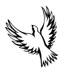 Vector drawing. Cute flying dove