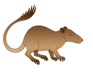 Purgatorius - extinct prehistoric primate - ancestor of apes and humans - full color stock illustration. Purgatorius is a fossil animal - the ancestor of man. Evolution of primates.	