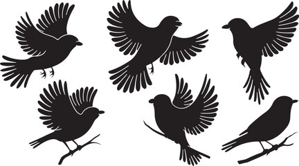 Sparrow silhouettes