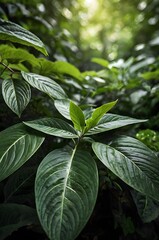 Nature leaves for multi background