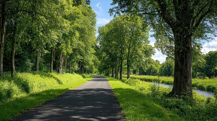 Fototapeta premium Tree Lined Path Along Canal In Green Summer Landscape