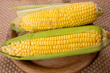 Fresh yellow ripe sweet raw corn, sugar corn or pole corn, variety of maize, uncooked
