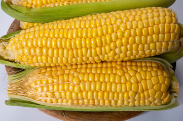 Fresh yellow ripe sweet raw corn, sugar corn or pole corn, variety of maize, uncooked