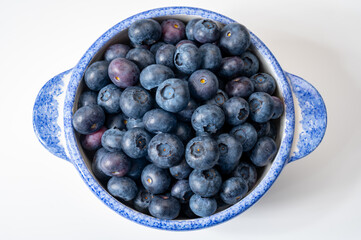 Blueberry antioxidant organic superfood forest berry