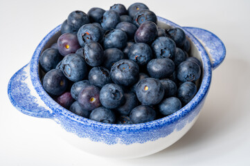 Blueberry antioxidant organic superfood forest berry