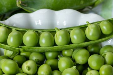 New harvest of fresh ripe green peas legumes