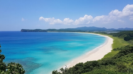 Obraz premium 美しい砂浜