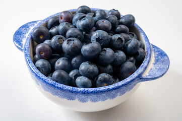 Blueberry antioxidant organic superfood forest berry