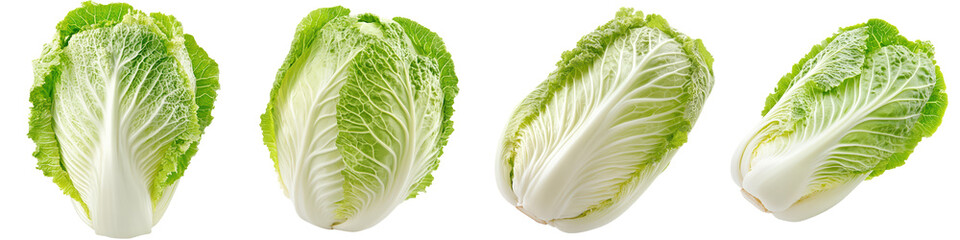 Fresh Green Romaine Lettuce Leaves, isolated on transparent background.