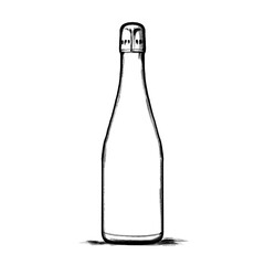 Champagner bottle, Hand drawing, illustration, pencil, sketch, transparent PNG