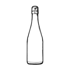 Champagner bottle, Hand drawing, illustration, pencil, sketch, transparent PNG