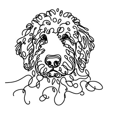 Goldendoodle breed Dog Continuous one line drawing, inimalist vector illustration design on white background. Simple line modern graphic style. Hand drawn graphic concept