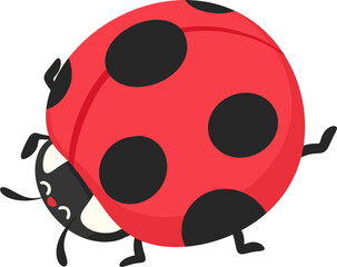 illustration ladybug