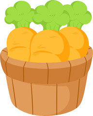 illustration carrot basket