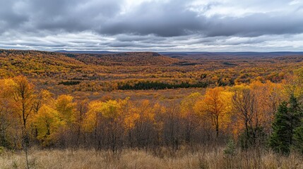 Fototapeta premium Autumn forest vista, hilltop view, cloudy sky