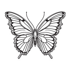 Butterfly coloring page kids friendly simple cute flying insects with flower mandala line art design white bagraound
