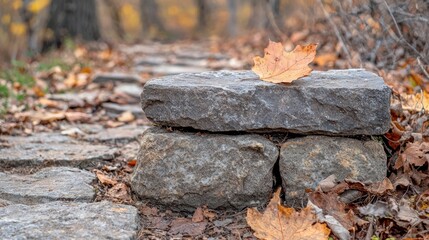 Fototapeta premium Autumnal stone path with fallen leaf